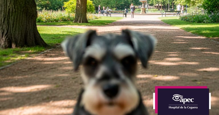 hipermetropia-laser-apec-cirugia-hospital-lasik-refractiva