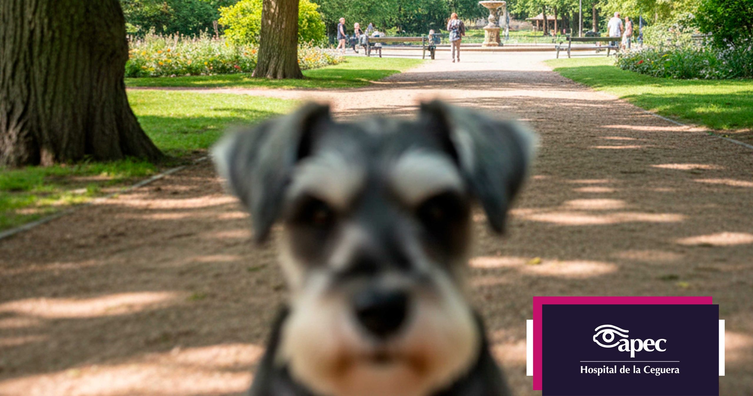 hipermetropia-laser-apec-cirugia-hospital-lasik-refractiva